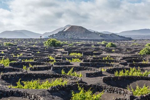 adb73-bungalows-lanzarote--2-.jpg